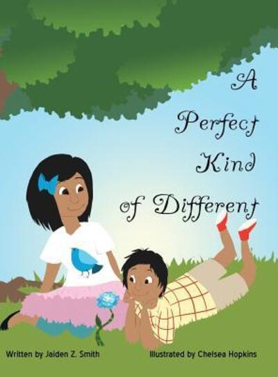 Cover for Jaiden Z. Smith · A Perfect Kind of Different (Hardcover Book) (2014)