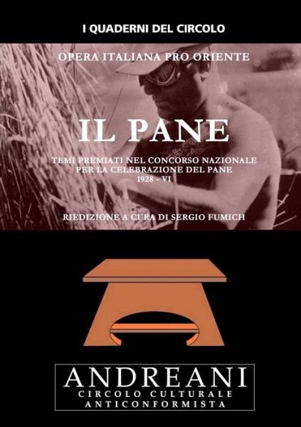 Cover for Sergio Fumich · Opera Italiana Pro Oriente Il Plane (Taschenbuch) [Italian edition] (2013)