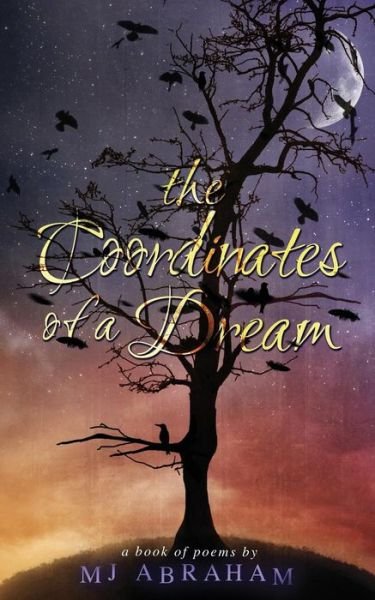 Cover for Mj Abraham · The Coordinates of a Dream (Pocketbok) (2015)