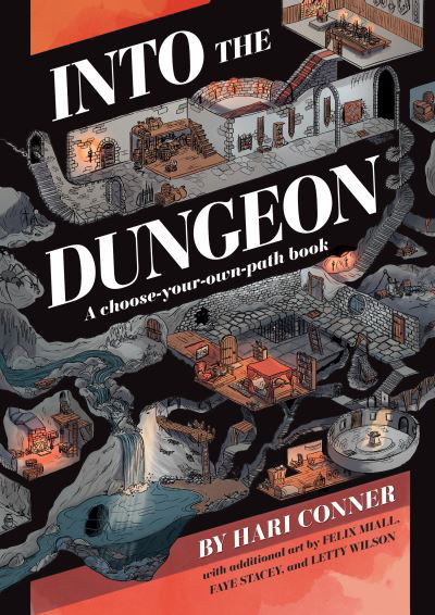 Cover for Hari Conner · Into the Dungeon: A Choose-Your-Own-Path Book (Paperback Book) (2020)