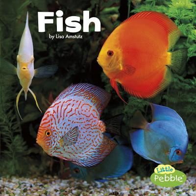 Fish - Lisa J. Amstutz - Książki - Capstone - 9781543501704 - 2018