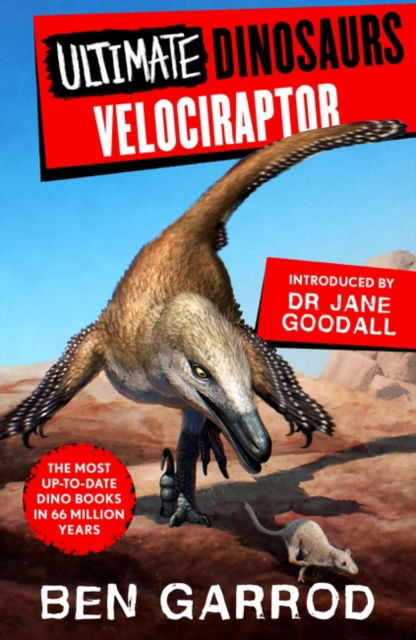 Cover for Ben Garrod · Velociraptor - Ultimate Dinosaurs (Paperback Book) (2023)