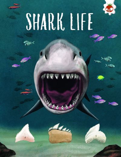 Cover for Annabel Griffin · SHARK LIFE: Shark Safari      STEM (Paperback Book) (2023)