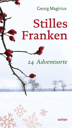 Cover for Georg Magirius · Stilles Franken (Paperback Book) (2021)