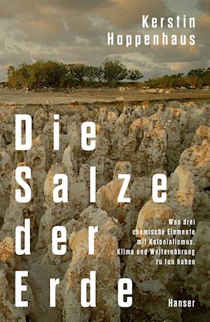 Cover for Kerstin Hoppenhaus · Die Salze der Erde (Book) (2024)