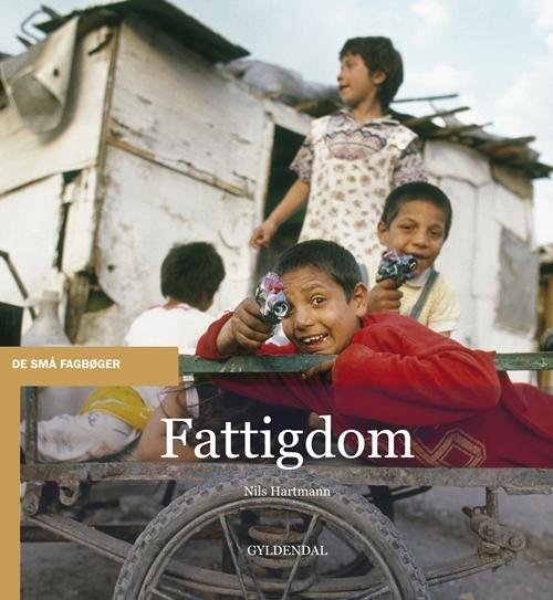 De små fagbøger: Fattigdom - Nils Hartmann - Books - Gyldendal - 9788702163704 - May 9, 2014