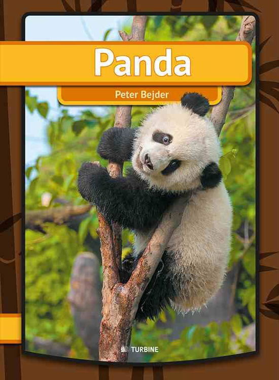 Cover for Peter Bejder · Min første bog: Panda (Pocketbok) [1. utgave] (2015)
