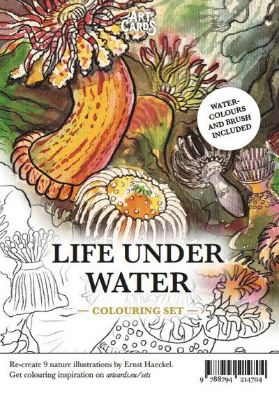 Cover for ArtCards: Life Under Water (Book) (2025)