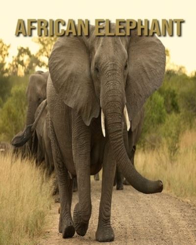 Cover for Kayla Miller · African elephant (Taschenbuch) (2020)