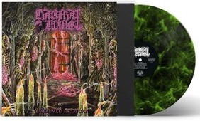 Cover for Carnal Tomb · Embalmed In Decay (LP) (2023)