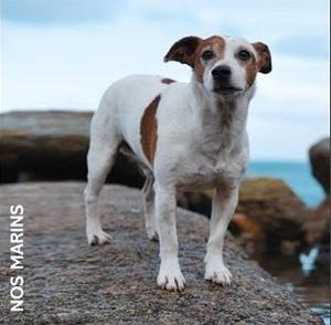 Cover for Nos Marins (LP) (2025)