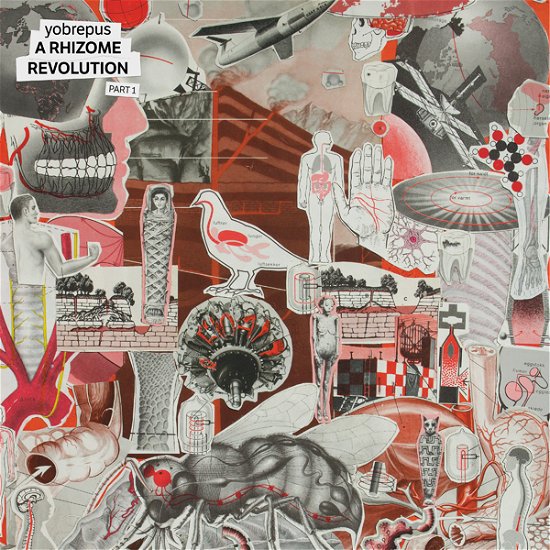 Cover for Yobrepus · A Rhizome Revolution Part 1 (CD) (2024)
