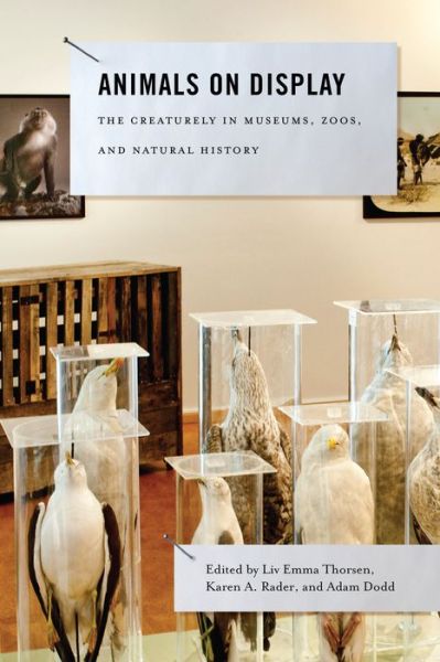 Cover for Liv Emma Thorsen · Animals on Display: The Creaturely in Museums, Zoos, and Natural History - Animalibus (Hardcover Book) (2013)