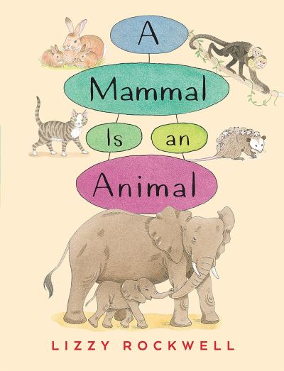 Cover for Lizzy Rockwell · A Mammal is an Animal (Hardcover Book) [First edition. edition] (2018)