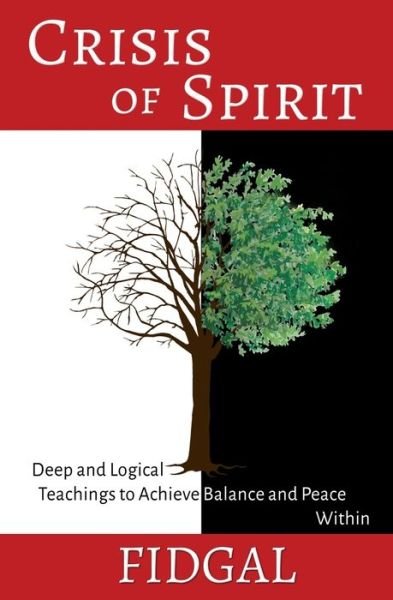 Cover for Fidgal · Crisis of Spirit (Paperback Book) (2016)