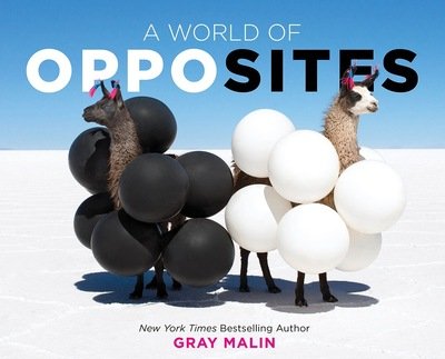 Cover for Gray Malin · A World of Opposites (Hardcover Book) (2020)