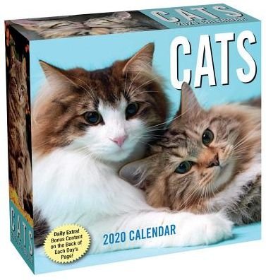 Cover for Andrews McMeel Publishing · Cats 2020 Day-to-Day Calendar (Kalender) (2019)