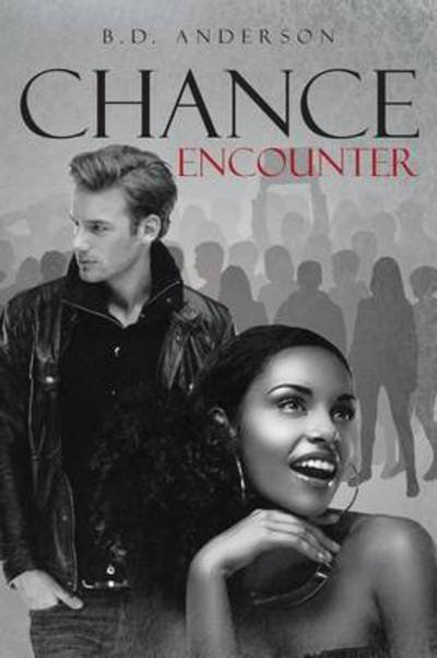Cover for B D Anderson · Chance Encounter (Paperback Bog) (2015)