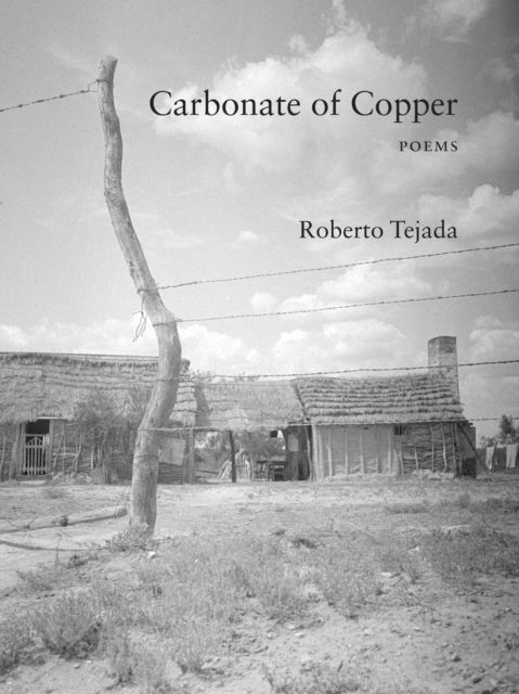 Cover for Roberto Tejada · Carbonate of Copper (Paperback Book) (2025)