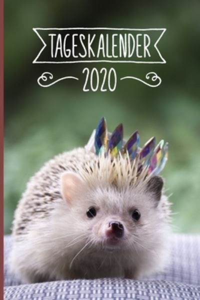 Cover for Igel Tageskalender 2020 Publishing · Tageskalender 2020 (Taschenbuch) (2019)