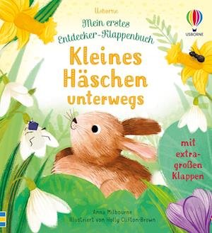 Cover for Anna Milbourne · Mein erstes Entdecker-Klappenbuch: Kleines Häschen unterwegs (Book) (2023)