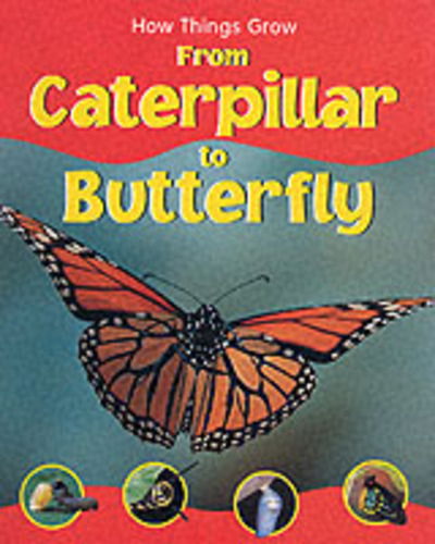 Cover for Sally Morgan · From Caterpillar to Butterfly - How Things Grow S. (Hardcover Book) (2002)