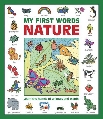 Cover for Baxter Nicola · My First Words: Nature (giant Size) (Paperback Book) (2016)