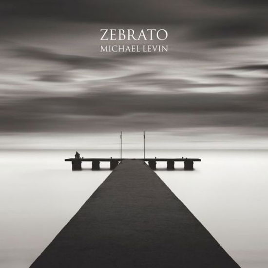 Cover for Michael Levin · Zebrato (Hardcover Book) (2008)