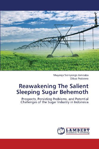 Cover for Dibyo Prabowo · Reawakening  the Salient Sleeping Sugar  Behemoth: Prospects, Persisting Problems, and Potential Challenges of the Sugar Industry in Indonesia (Paperback Book) (2013)