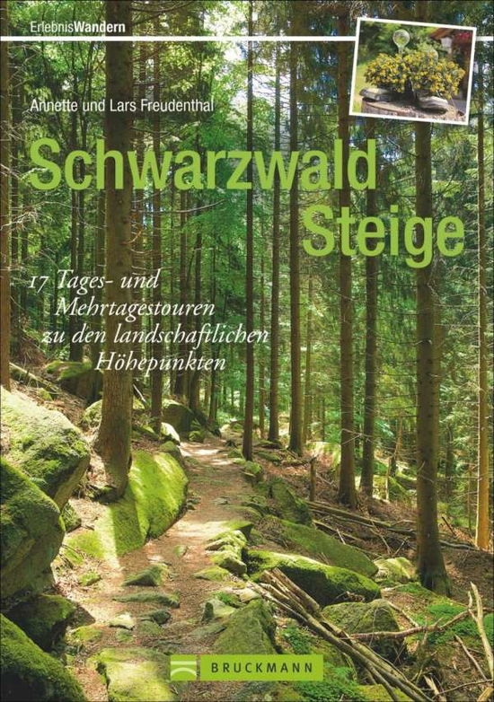 Cover for Freudenthal · Schwarzwald Steige (Book)