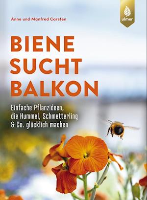 Cover for Anne Carsten · Biene sucht Balkon (Book) (2025)