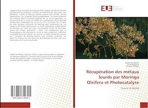 Cover for Benali · Récupération des métaux lourds p (Book)