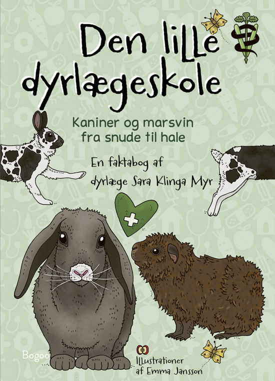 Sara Klinga Myr · Den lille dyrlægeskole: Kaniner og marsvin fra snude til hale (Hardcover Book) [1. wydanie] (2024)