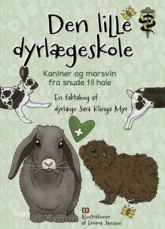 Cover for Sara Klinga Myr · Den lille dyrlægeskole: Kaniner og marsvin fra snude til hale (Gebundenes Buch) [1. Ausgabe] (2024)