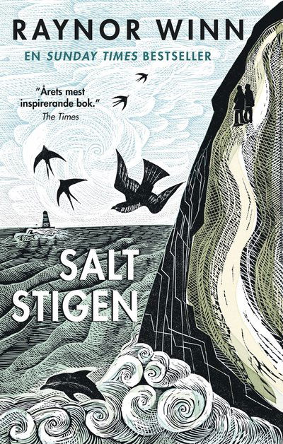 Cover for Raynor Winn · Saltstigen (ePUB) (2023)