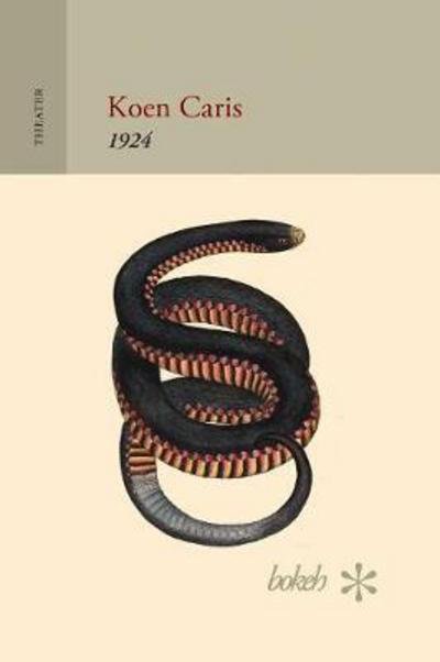 Cover for Koen Caris · 1924 (Paperback Bog) (2017)