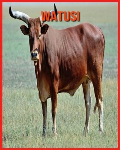 Cover for Annie Nichols · Watusi (Paperback Book) (2021)