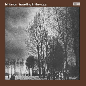 Travelling In The U.S.A. - Bintangs - Musique - MUSIC ON VINYL - 0602547889706 - 21 novembre 2016