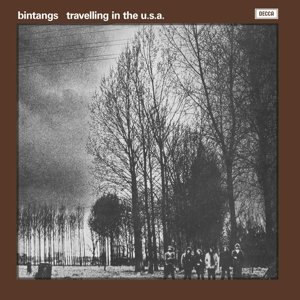 Cover for Bintangs · Travelling In The U.S.A. (LP) (2016)
