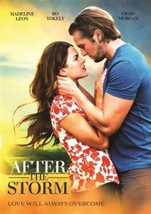 Cover for After the Storm (DVD) (2024)