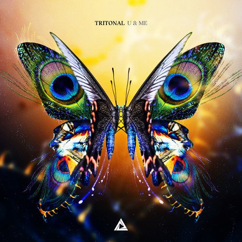 Cover for Tritonal · U &amp; Me (LP) (2019)