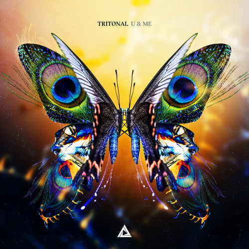 U & Me - Tritonal - Musiikki - ENHANCED - 0827565062706 - perjantai 28. kesäkuuta 2019