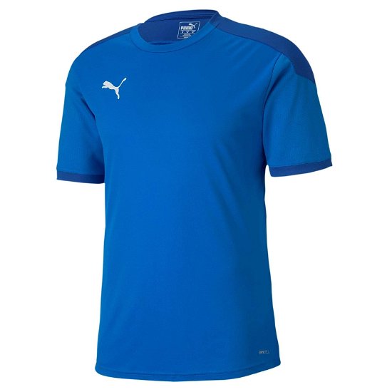 Cover for PUMA Final Training Jersey  Electric Blue  Team Power Blue Small Sportswear (CLOTHES) [size S]