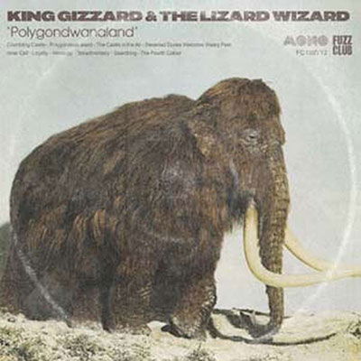 Polygondwanaland (Mono) (TRANSPARENT GREEN VINYL) - King Gizzard & The Lizard Wizard - Musik - Fuzz Club Records - 5060978390706 - 27. januar 2023