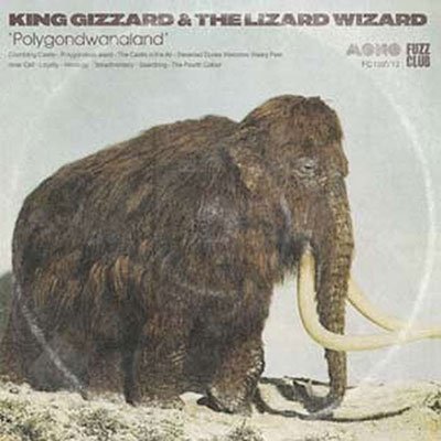 Cover for King Gizzard &amp; The Lizard Wizard · Polygondwanaland (Mono) (TRANSPARENT GREEN VINYL) (LP) (2023)