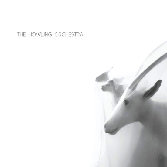 Cover for Howling Orchestra The · Spirituals (LP) (2024)