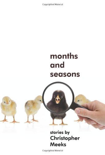 Cover for Christopher Meeks · Months and Seasons (Pocketbok) (2008)