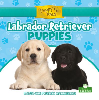 Cover for David Armentrout · Labrador Retriever Puppies (Hardcover Book) (2021)