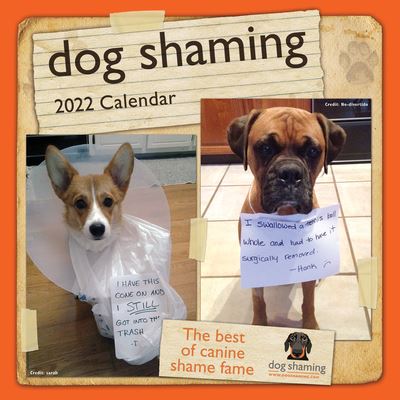 Cover for Pascale Lemire · Dog Shaming 2022 Mini Wall Calendar (Calendar) (2021)