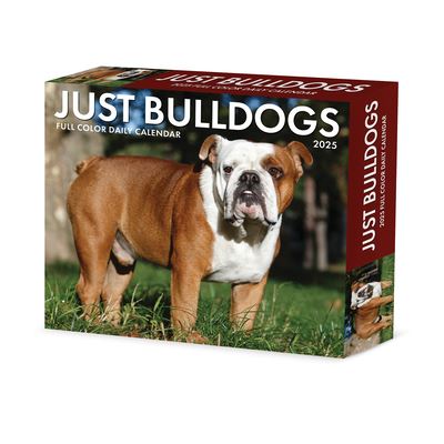 Bulldogs 2025 6.2 X 5.4 Box Calendar - Willow Creek Press - Gadżety - Willow Creek Press Calendars - 9781549240706 - 10 września 2024